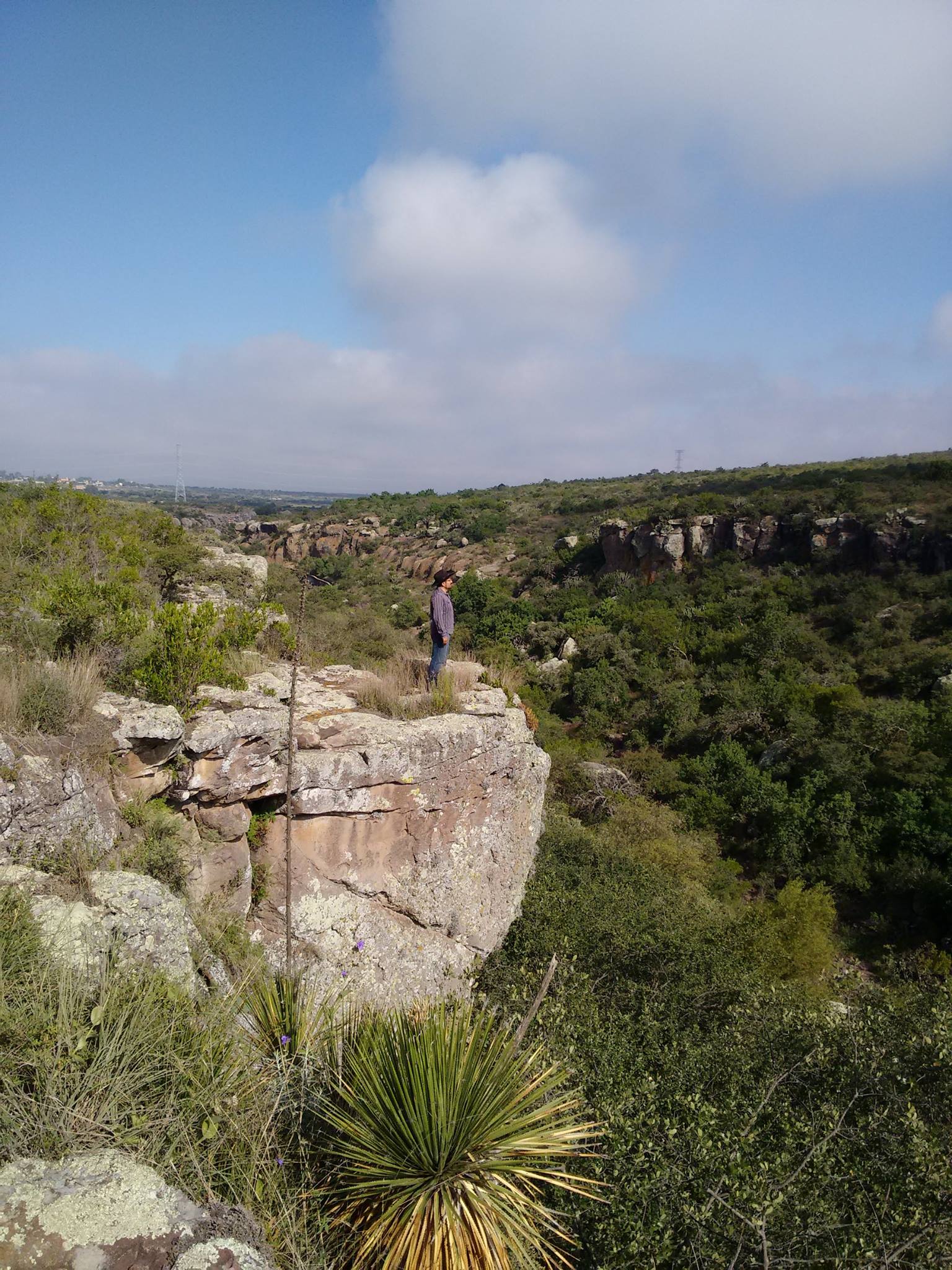 Mirador