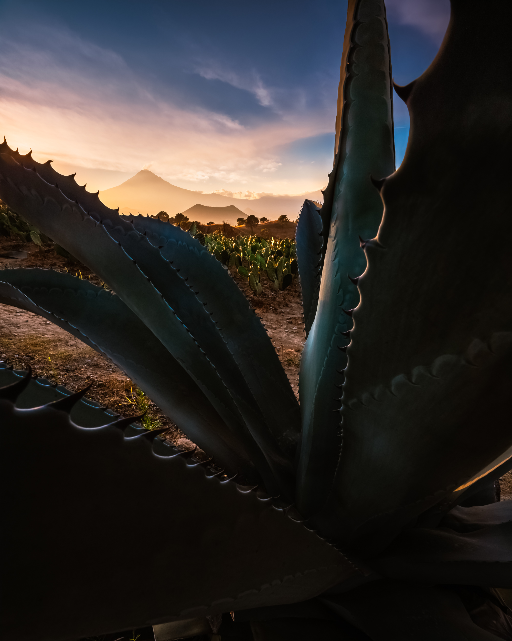 Parajes entre volcanes