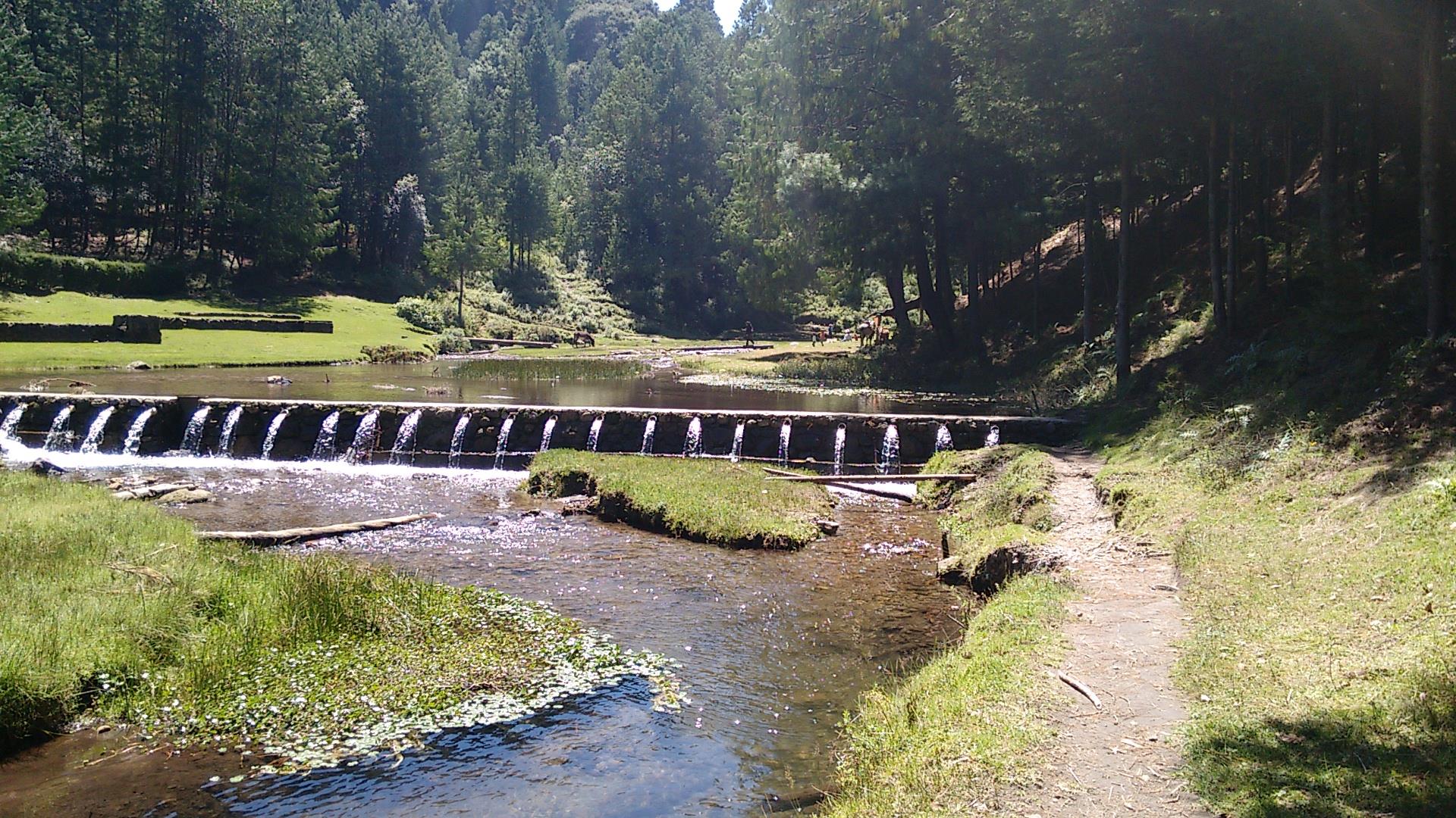 Presa del llano3