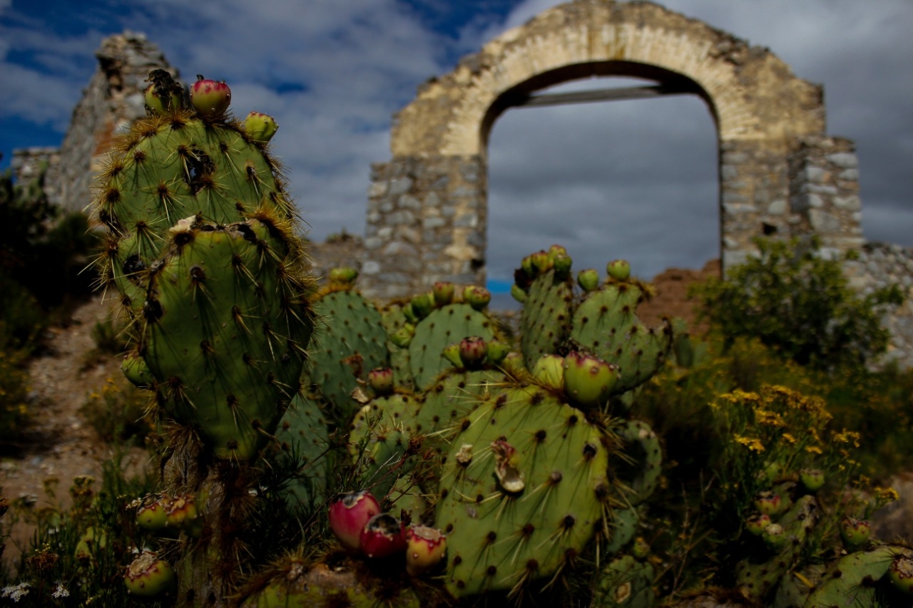 Real de Catorce