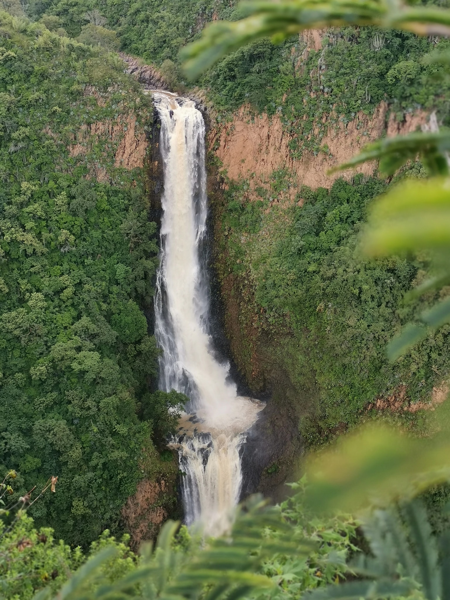 “De frente al agua”