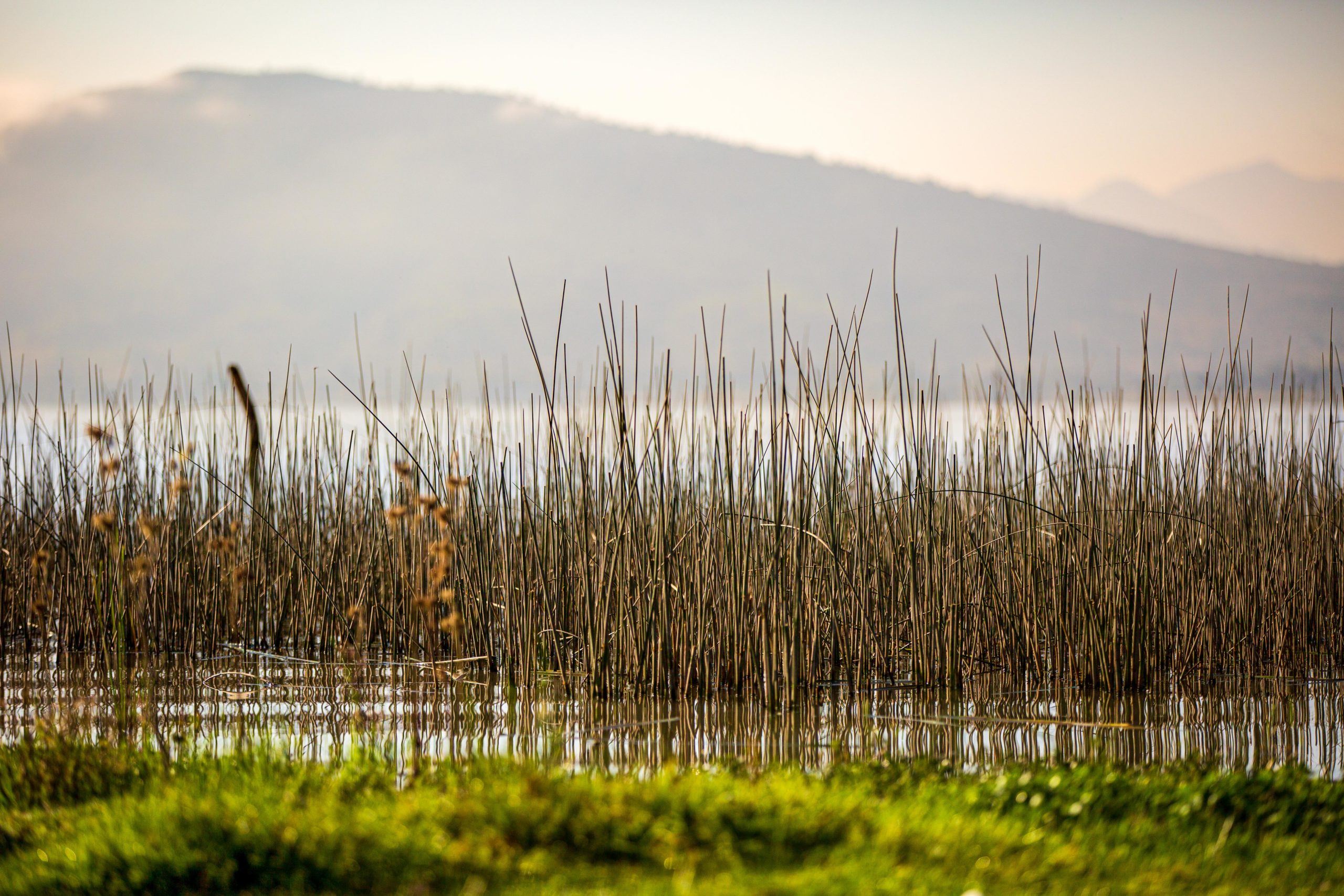 Vista del lago de Pátzcuaro