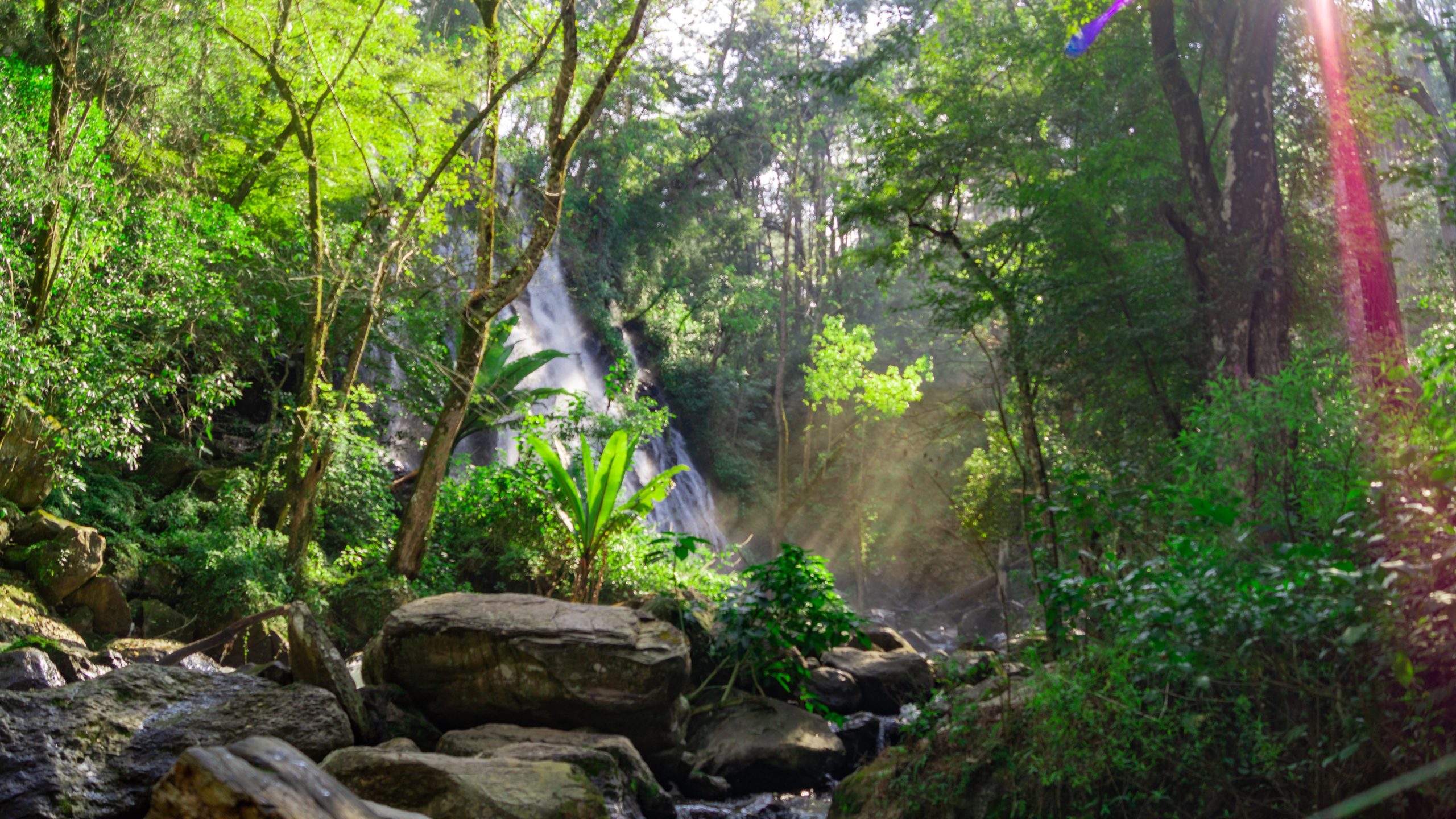 Velo de novia (Avándaro, Valle de Bravo), el paraíso en la tierra.