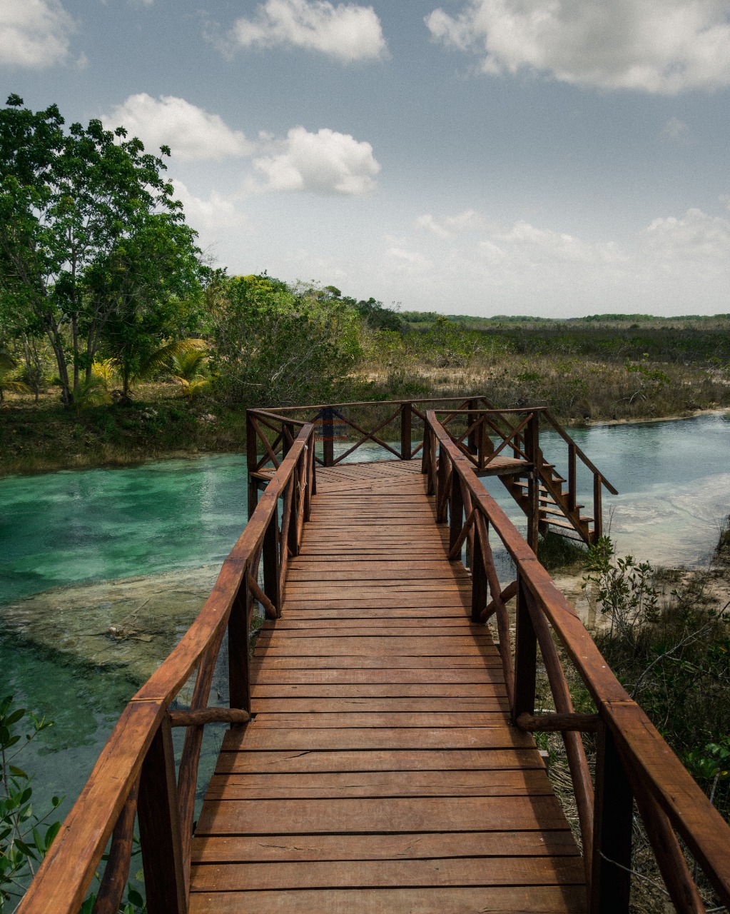 Bacalar