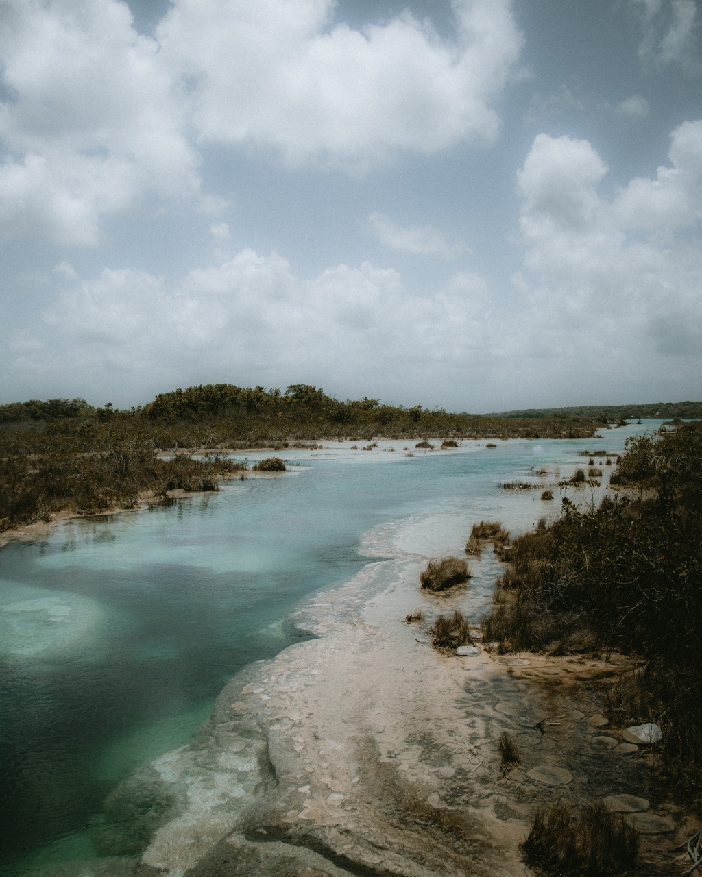 Bacalar