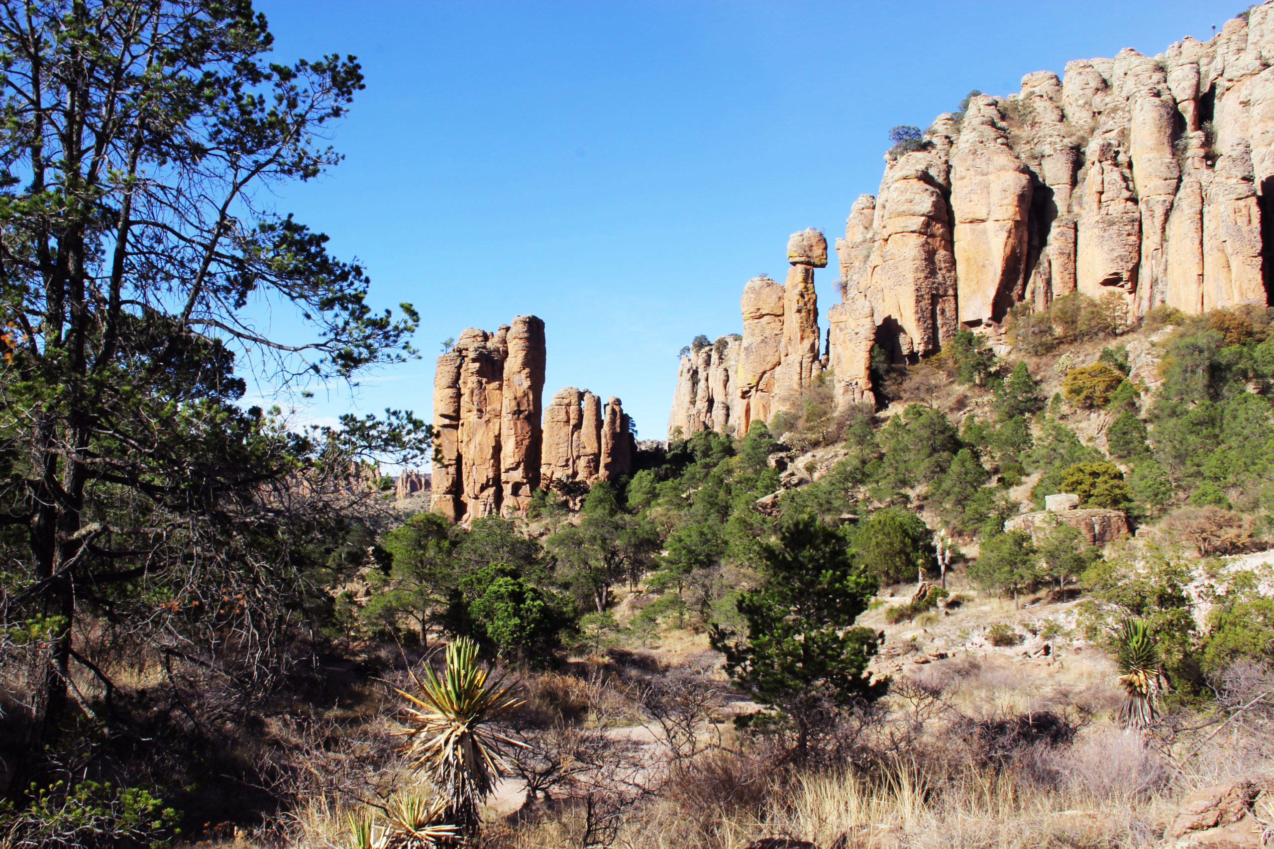 Sierra de Órganos, Sombrerete Zacatecas