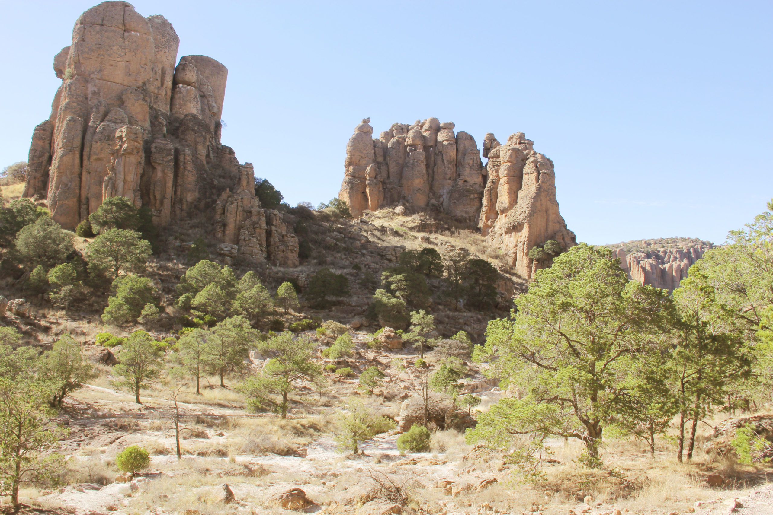 Sierra de Órganos, Sombrerete Zacatecas