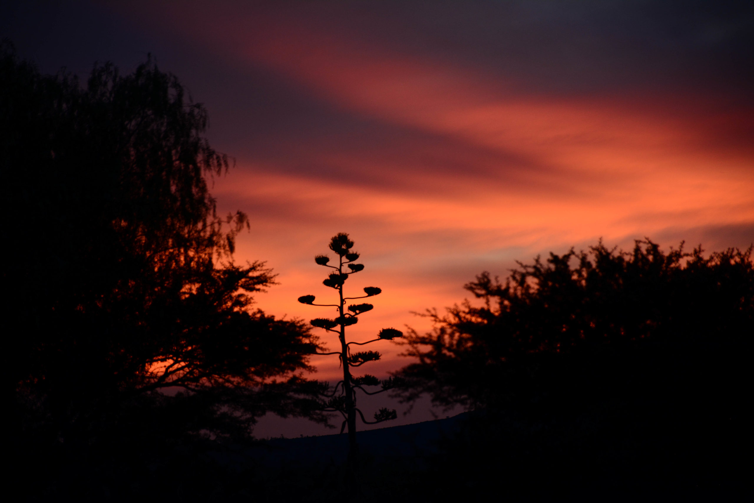 Atardecer Deslumbrante