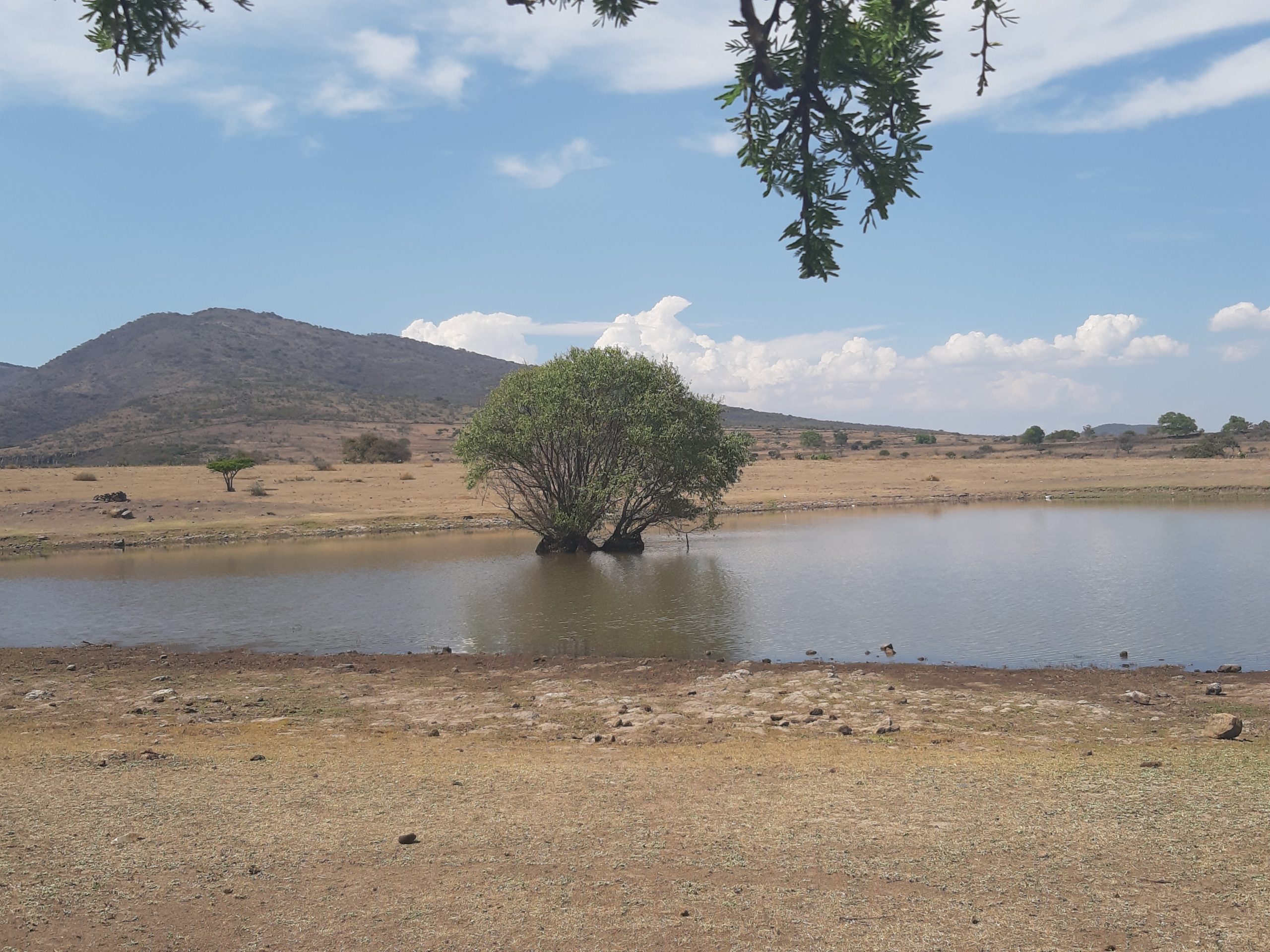 Viviendo en medio del lago