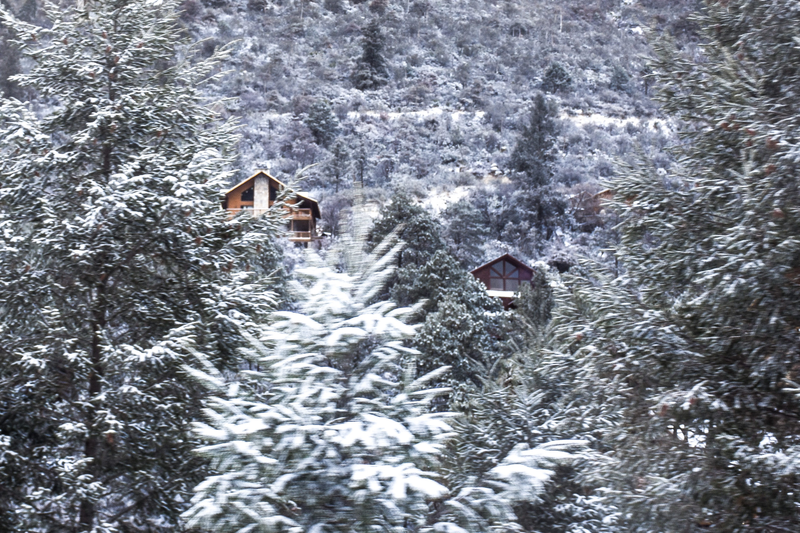 Nevada en Monterreal, Arteaga Coahuila