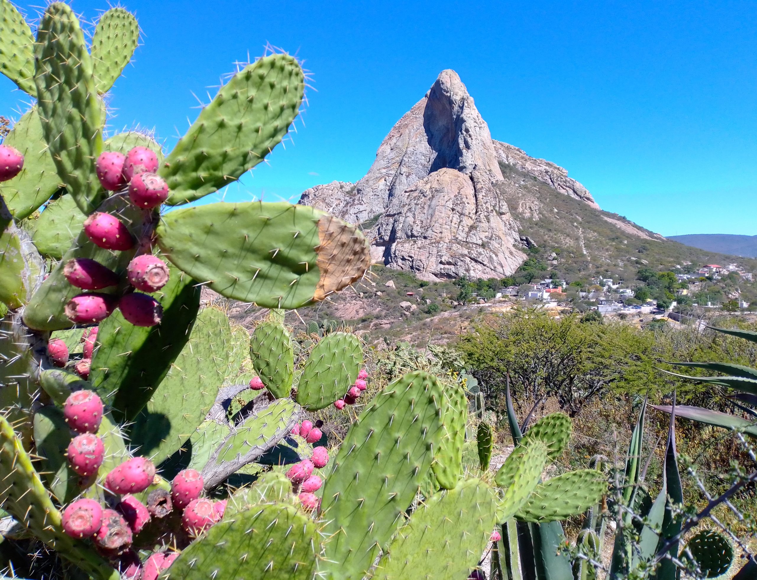 Peña de Bernal 2