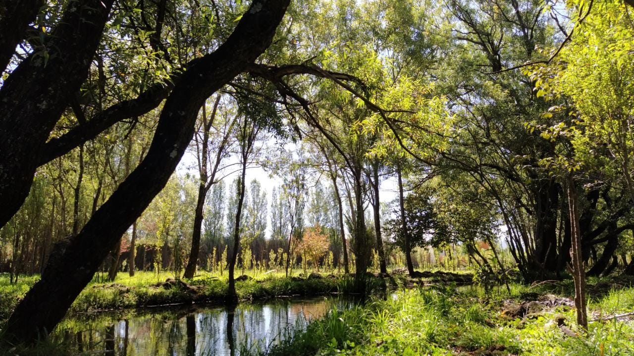 Paisaje escondido