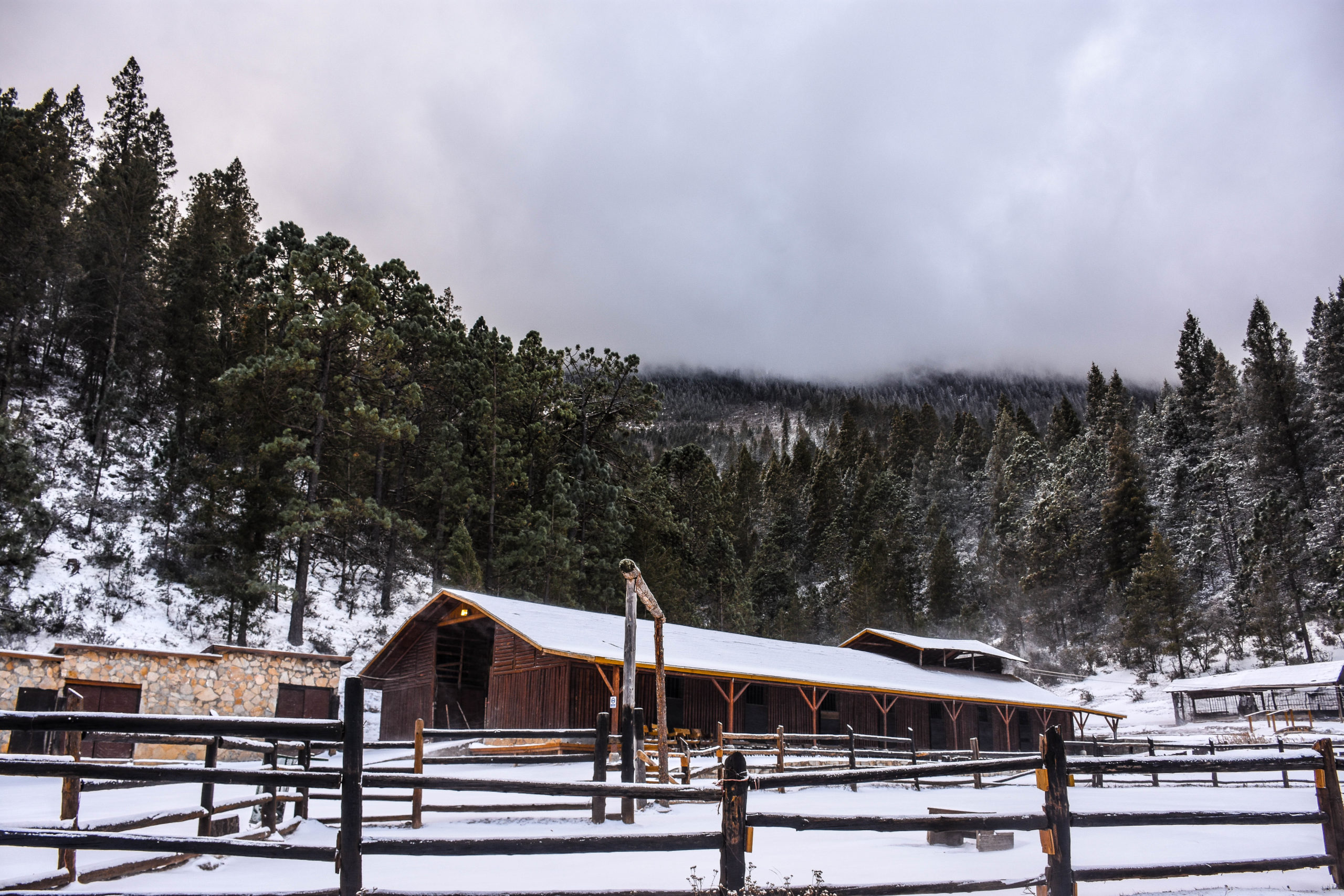 Bosques de Monterreal Nevados