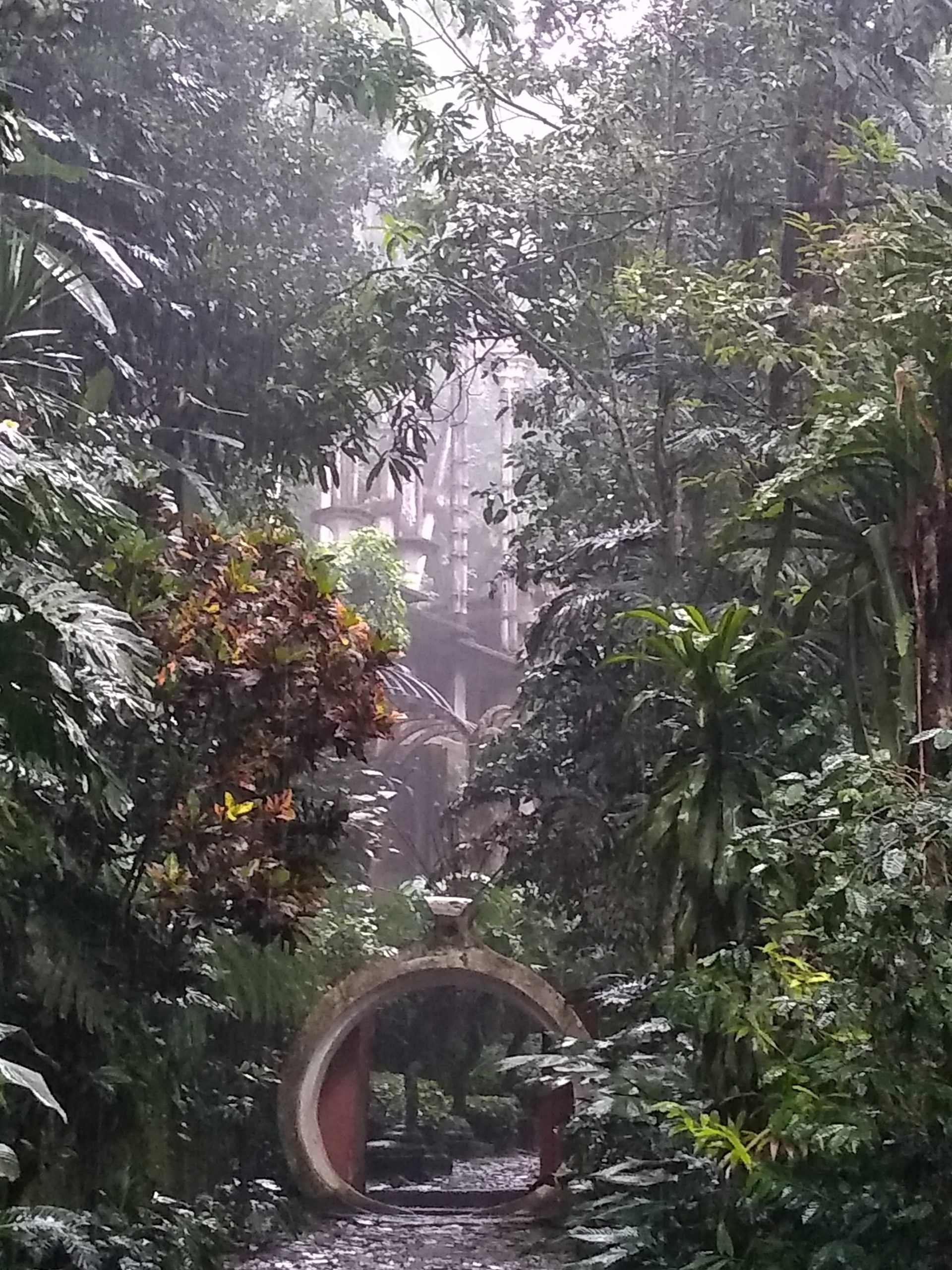 Maravilla!  Jardín Botánico en Xilitla