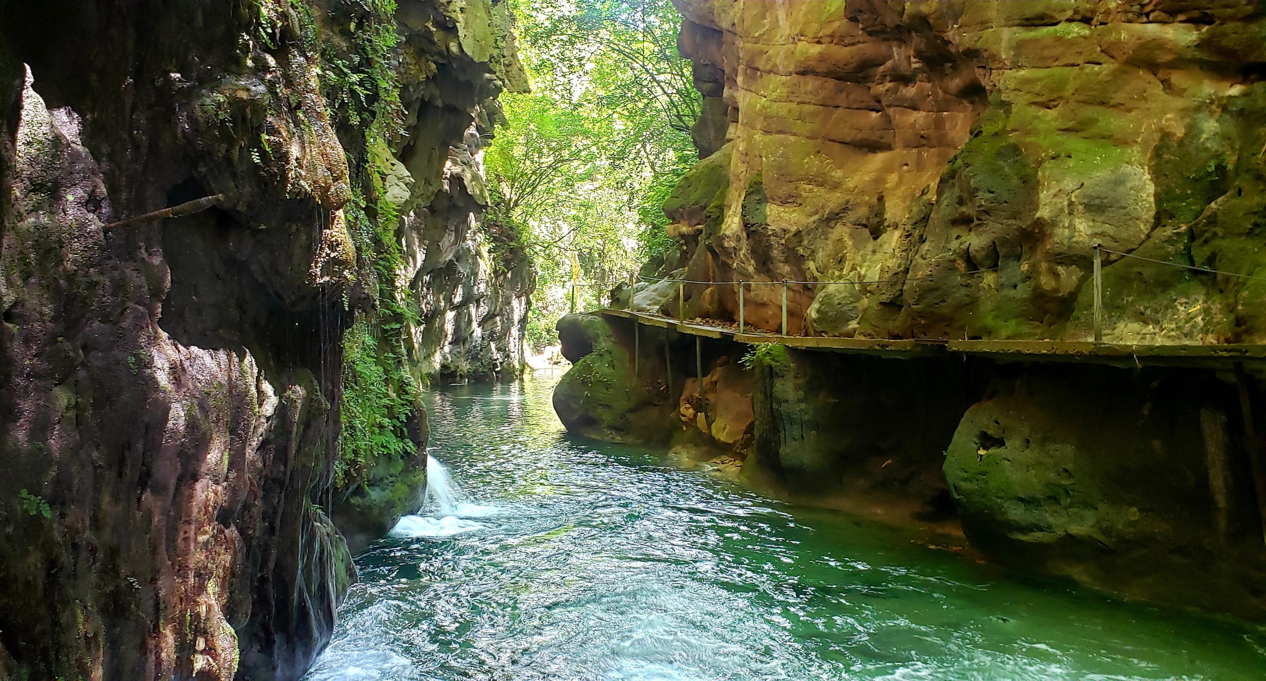 México verde