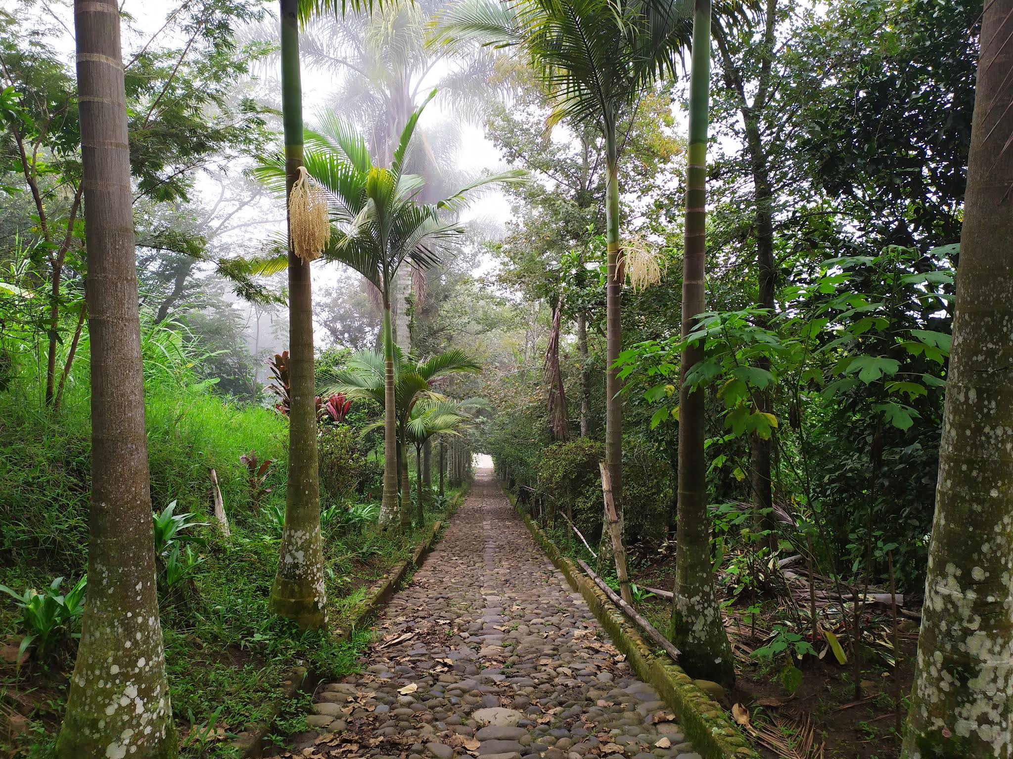 Cerro de la Culebra