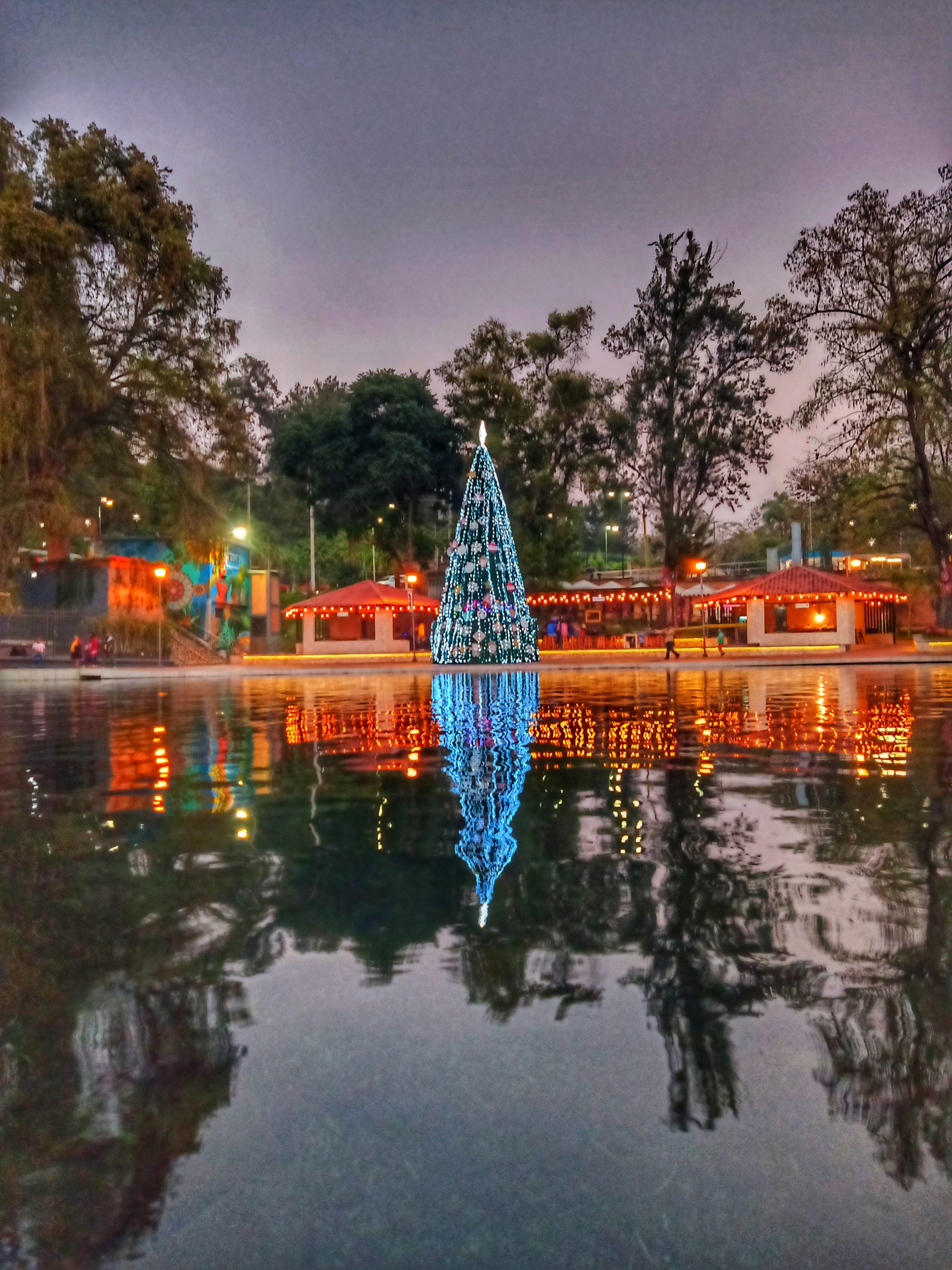 Reflejo de navidad