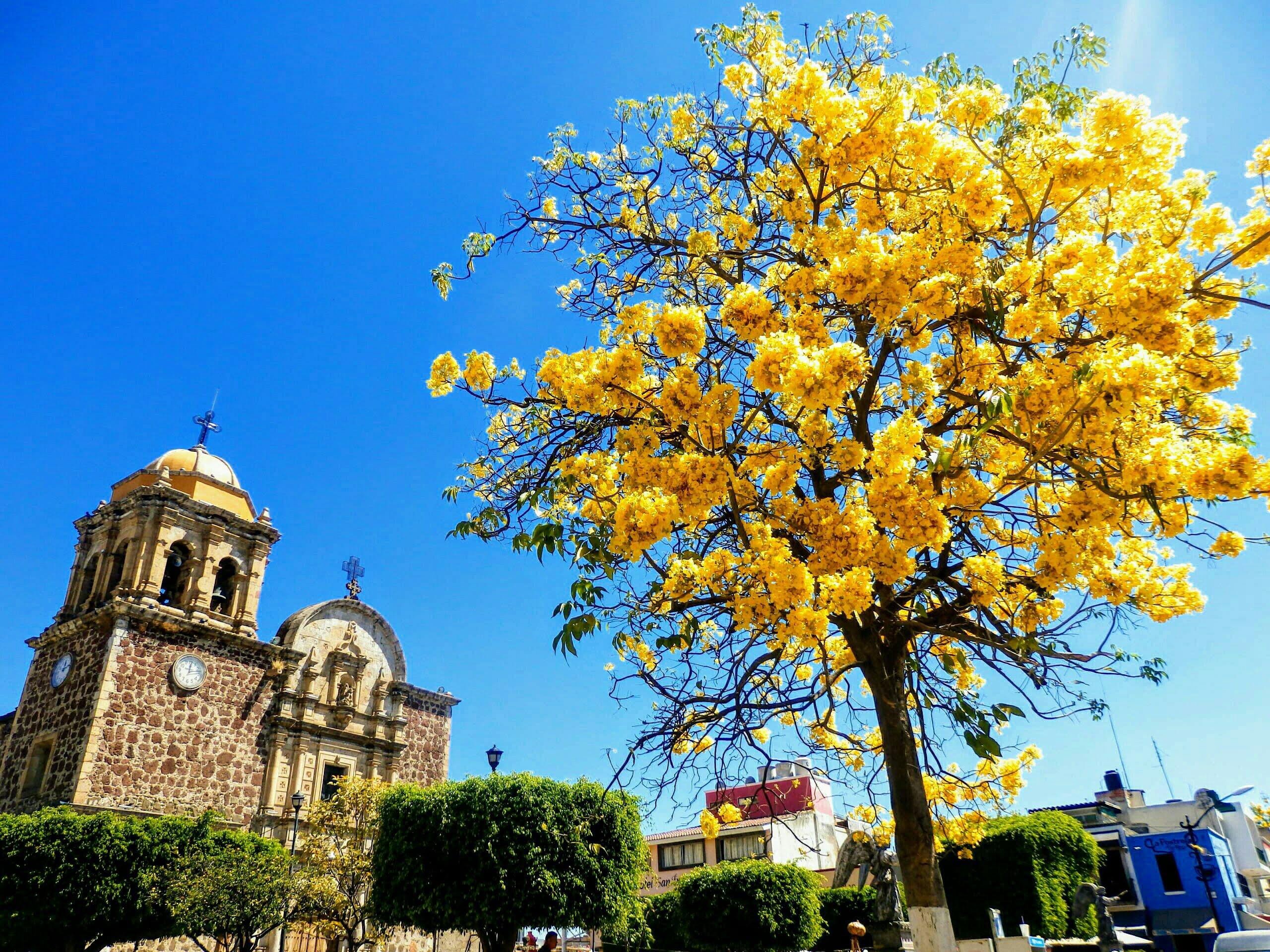 Los colores de México